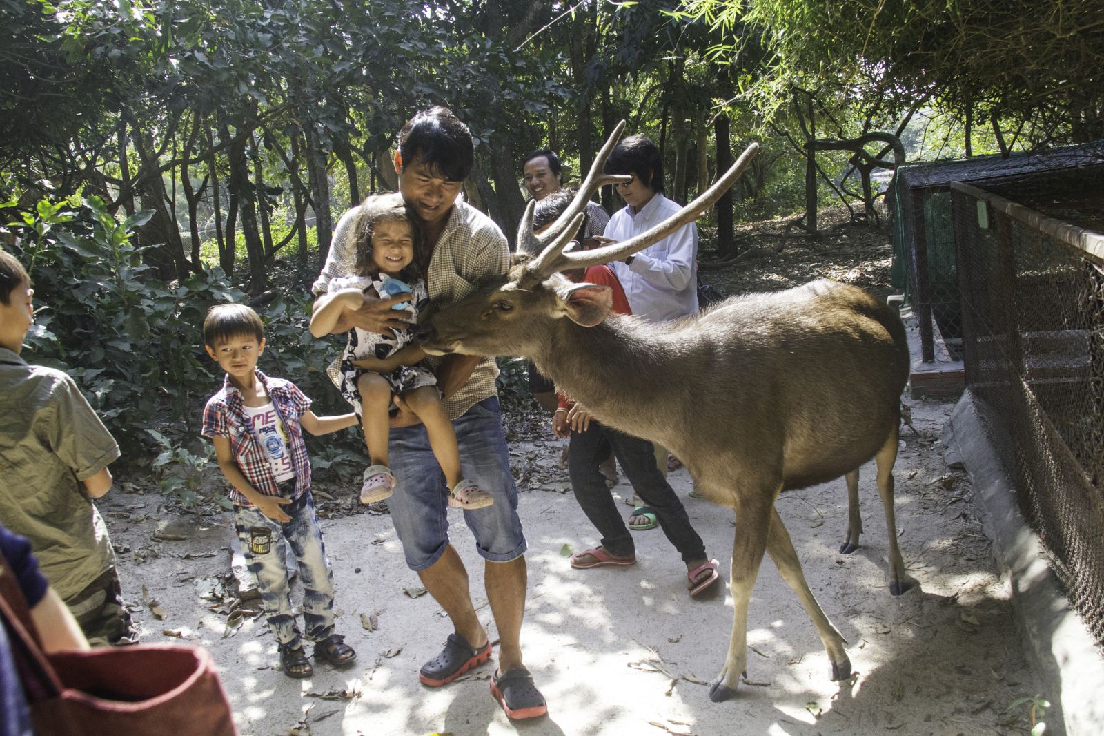 Cambodia Family Tour 6 Days